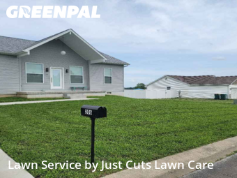 Lawn Mow nearby Lebanon, IL, 62254