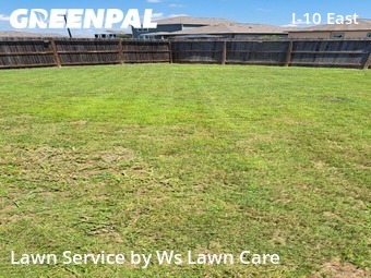 Grass Cutin Converse,78109,Yard Mowing by Ws Lawn Care, work completed in Jun , 2026