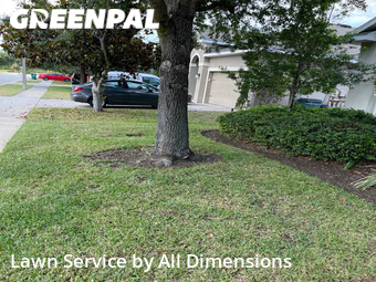 Yard Cutting nearby Wesley Chapel, FL, 