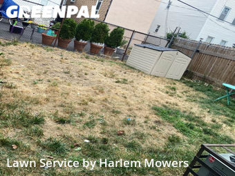 Lawn Cut nearby Jersey City, NY, 