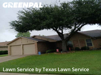 Lawn Mowingin North Richland Hills,76182,Yard Cutting by Texas Lawn Service, work completed in Dec , 2025