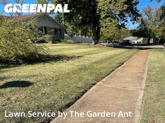 Yard Mowing nearby Ballwin, MO, 