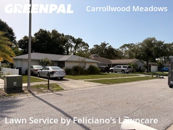 Landscaping Renovation In Tampa,33625,Landscape Design by Feliciano's Lawncare, work completed in Jul , 2026