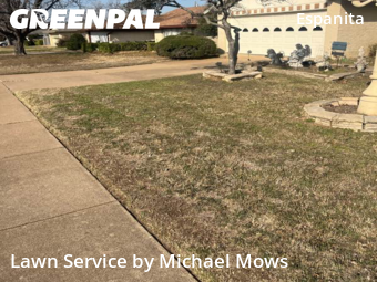 Landscaping Renovation In Irving,75062,Landscaping Renovation by Michael Mows, work completed in Jan , 2026