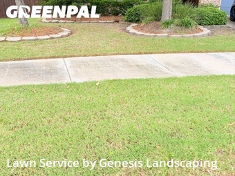 Lawn Maintenance nearby Katy, TX, 