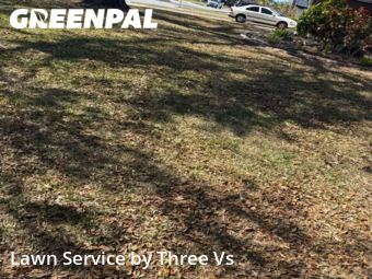 Lawn Cuttingin Dunedin,34698,Grass Cut by Three Vs , work completed in Jun , 2026
