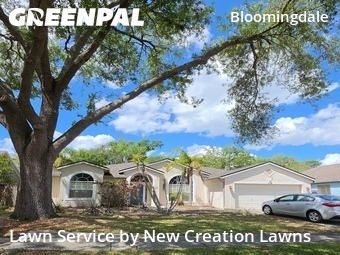 Lawn Service nearby Valrico, FL, 
