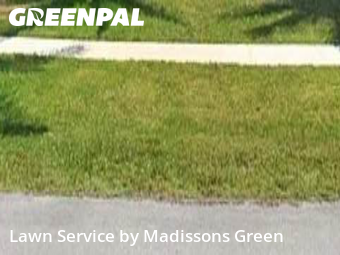 Yard Care Services in Royal Palm Beach, 33411, Backyard Mowing by Madissons Green, work completed in Nov , 2025
