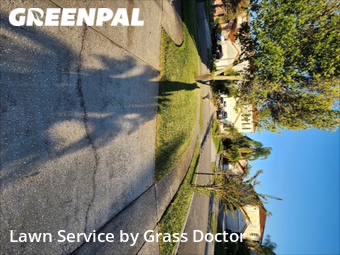Lawn Maintenance nearby Orlando, FL, 