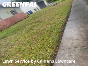 Lawn mowed in Cooper City, 33328