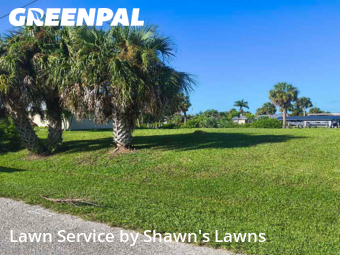 Grass Cut nearby Port Charlotte, FL, 