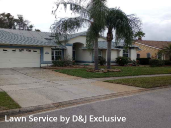 Lawn Mowing Service nearby Orlando, FL, 