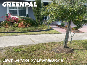 Lawn Cut nearby De Bary, FL, 