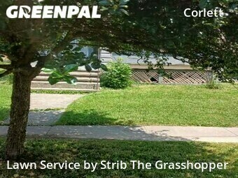 Lawn Cut nearby Cleveland, OH, 