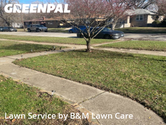 Lawn Service nearby Gary, IL, 