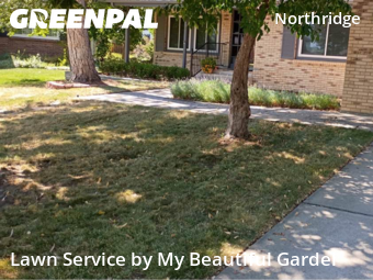 Grass Cut nearby Littleton, CO, 