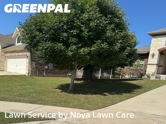 Yard Cutting nearby Pflugerville, TX, 