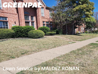 Lawn Mowingin Richardson,75082,Lawn Cut by MALDEZ RONAN, work completed in Feb , 2026