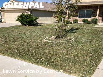 Yard Mowing nearby Austin, TX, 