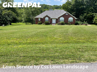 Yard Cutting nearby Cottontown, KY, 