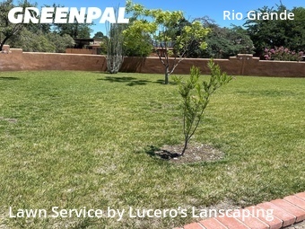 Grass Cutting nearby Los Ranchos De Albuquerque, NM, 
