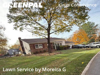 Grass Services in Columbia, 21046, Turf Services by Moreira G, work completed in Nov , 2025