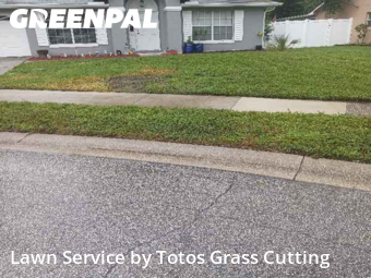 Grass Cuttingin Ocoee,34761,Lawn Service by Totos Grass Cutting, work completed in Nov , 2025