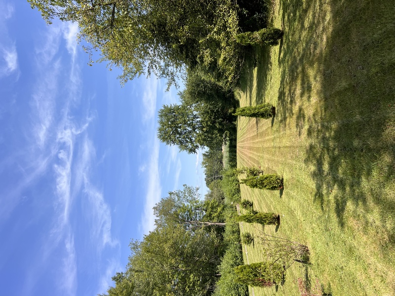 Work Image 1