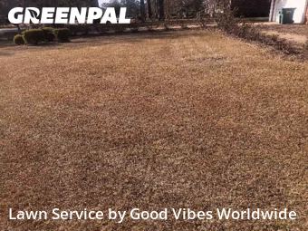 Yard Upkeep in Albany, 31721, Lawn Work by Good Vibes Worldwide, work completed in Dec , 2025