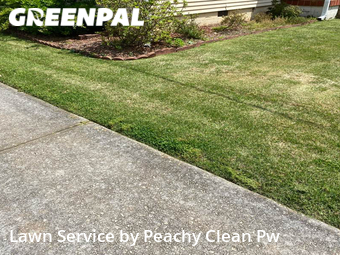 Grass Cut nearby Carrollton, GA, 