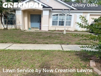 Grass Cut nearby Riverview, FL, 