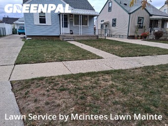Grass Services in Southgate, 48195, Lawn Management by Mcintees Lawn Mainte, work completed in Nov , 2025