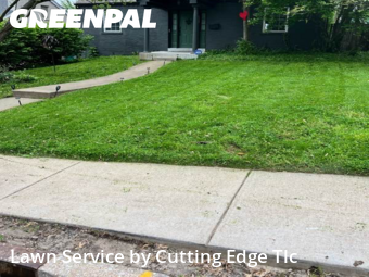 Grass Cutting nearby Webster Groves, MO, 