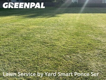 Grass Cut nearby Glen Ellyn, IL, 