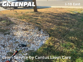 Yard Mowing nearby Converse, TX, 