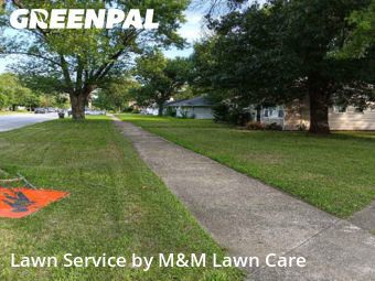 Grass Care in Dolton, 60419, Lawn Management by M&M Lawn Care, work completed in Nov , 2025