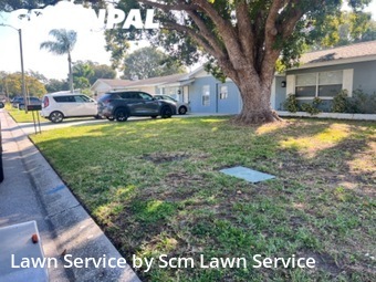Lawn Mowing nearby Clearwater, FL, 