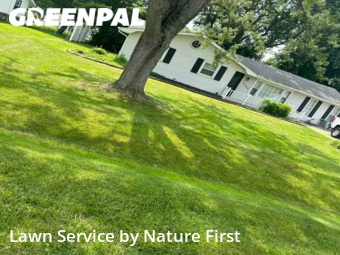 Grass Cut nearby Indianapolis, IN, 