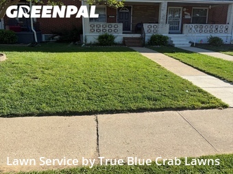 Lawn Care nearby Essex, MD, 