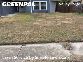 Yard Mowing nearby San Antonio, TX, 