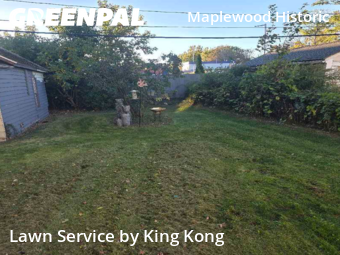 Grass Cut nearby Rochester, NY, 