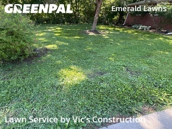 Grass Cutting nearby Joliet, IL, 
