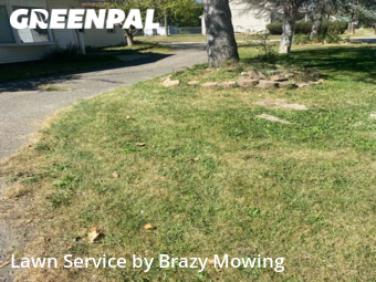 Grass Cutting nearby Farmington Hills, MI, 