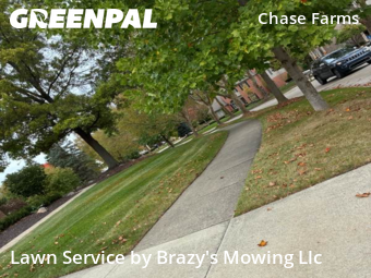 Lawn Maintenance in Novi, 48375, Yard Upkeep by Brazy's Mowing Llc, work completed in Nov , 2025