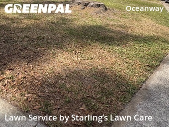 Lawn Care nearby Jacksonville, FL, 