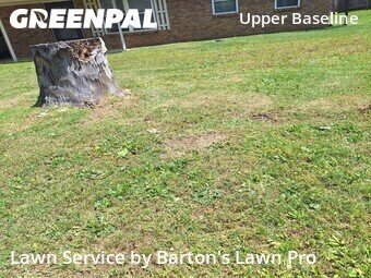 Lawn Care nearby Little Rock, AR, 