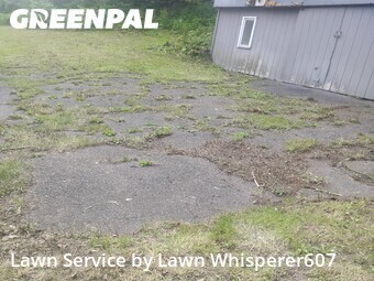 Lawn mowed in Windsor, 13865