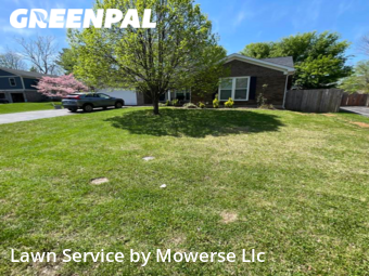 Yard Cutting nearby Louisville, KY, 