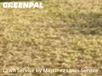 Lawn Cutting nearby Sacramento, CA, 