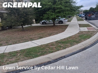 Grass Cutting nearby San Antonio, TX, 